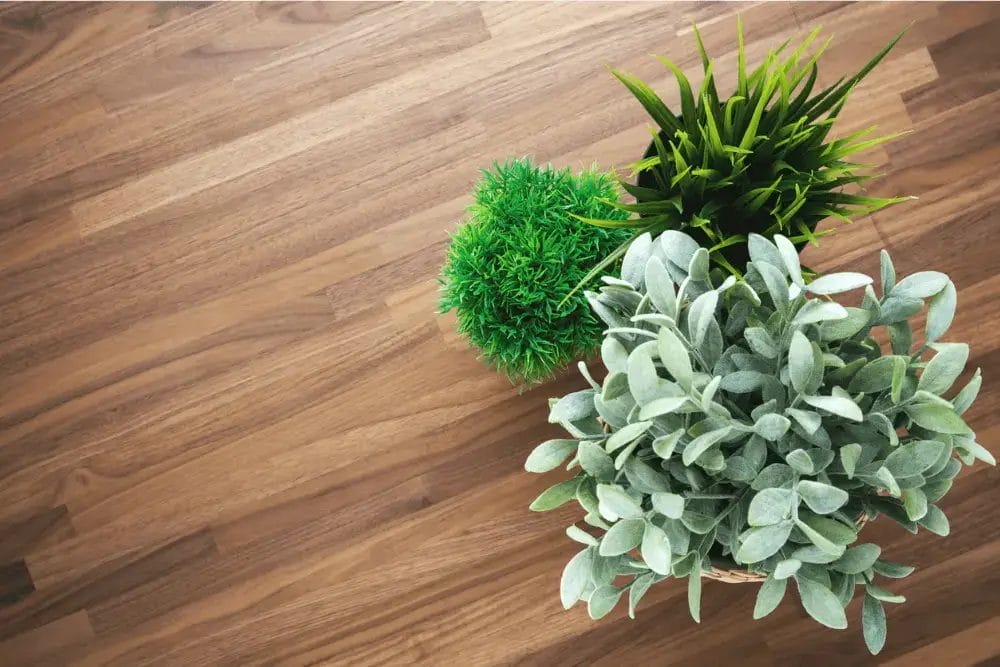 Eco-Friendly Flooring Options